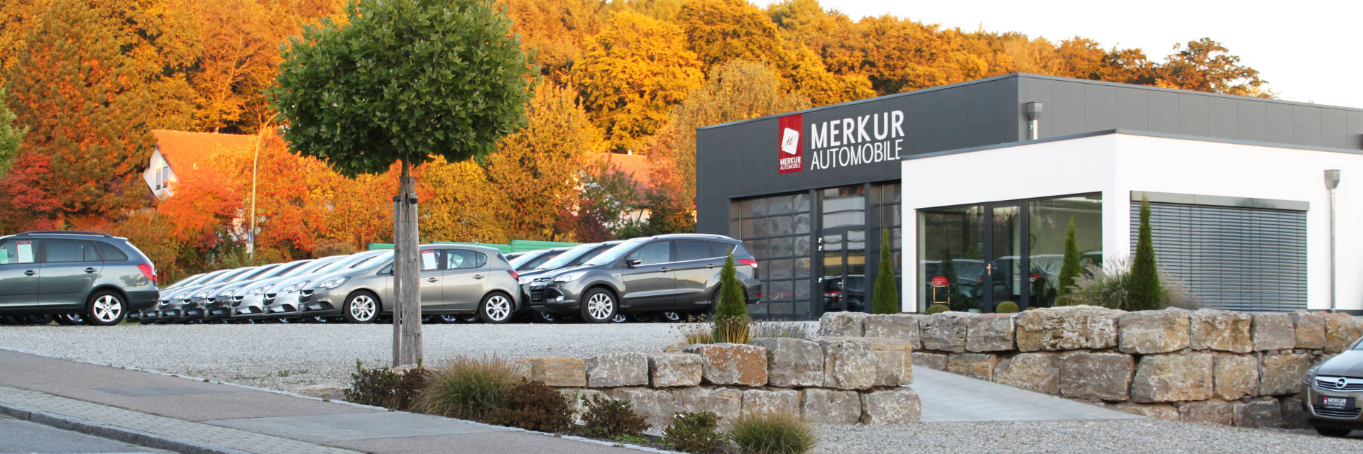 Merkur Automobile | Gebraucht- und Jahreswagen